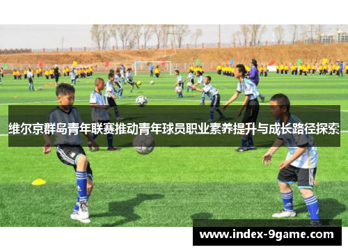 维尔京群岛青年联赛推动青年球员职业素养提升与成长路径探索 维尔京群岛青年联赛推动青年球员职业素养提升与成长路径探索