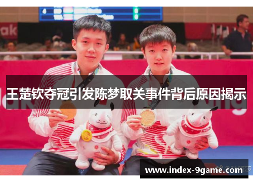 王楚钦夺冠引发陈梦取关事件背后原因揭示 王楚钦夺冠引发陈梦取关事件背后原因揭示