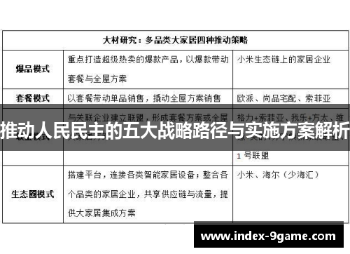 推动人民民主的五大战略路径与实施方案解析 推动人民民主的五大战略路径与实施方案解析