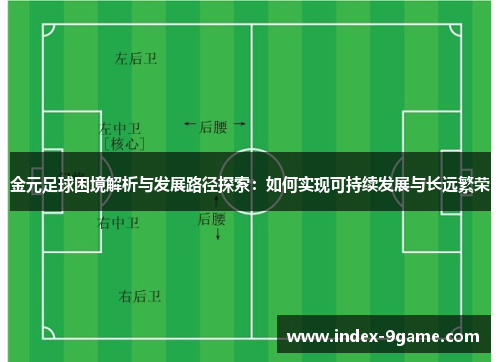 金元足球困境解析与发展路径探索：如何实现可持续发展与长远繁荣