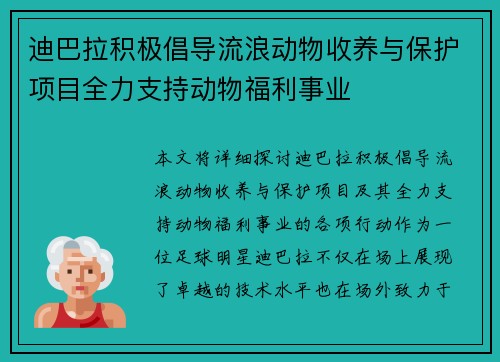 迪巴拉积极倡导流浪动物收养与保护项目全力支持动物福利事业