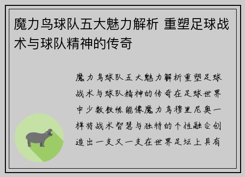 魔力鸟球队五大魅力解析 重塑足球战术与球队精神的传奇